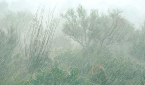 倾盆大雨