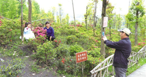 煞风景