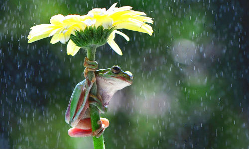 淅淅沥沥的雨