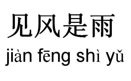 见风是雨