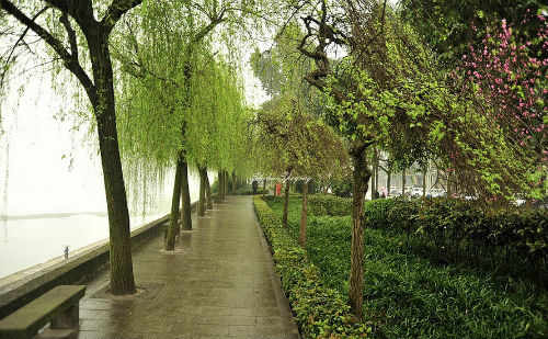 春雨如油