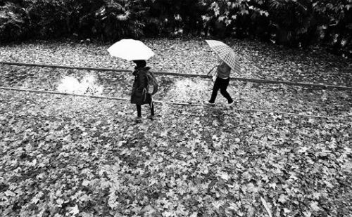 凄风冷雨