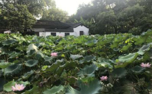 偏安一隅