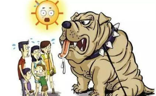 狗仗人势