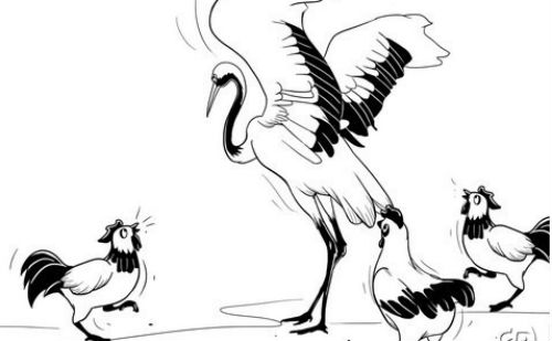 鹤立鸡群