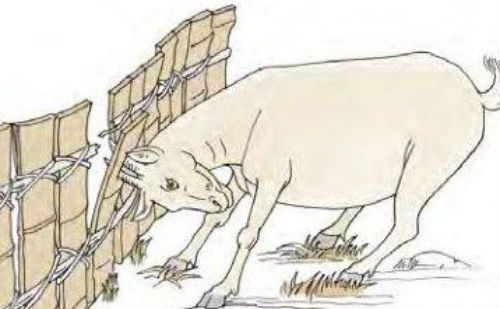 羝羊触藩
