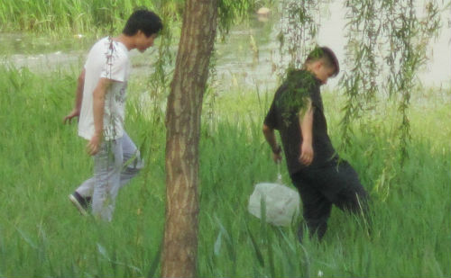 拨草寻蛇