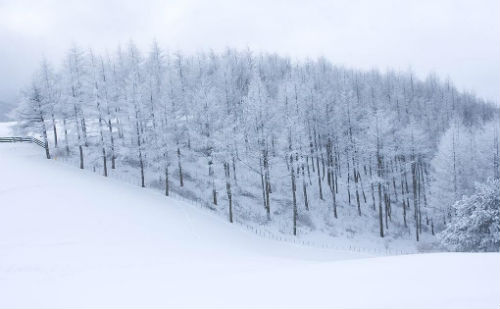雪景