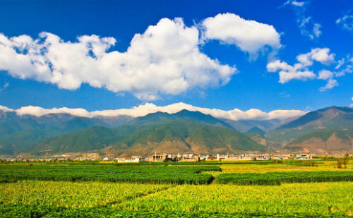 春天的美景