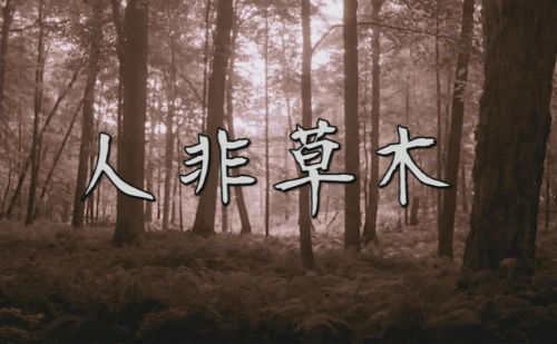 人非草木