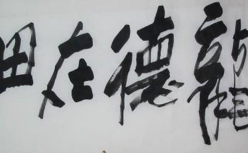 龙德在田