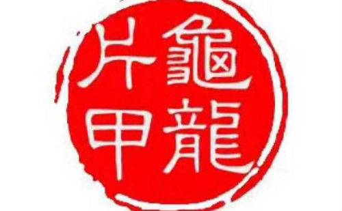 龟龙片甲