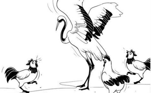鹤立鸡群