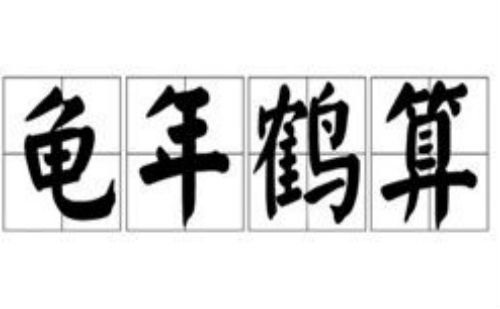 龟年鹤算