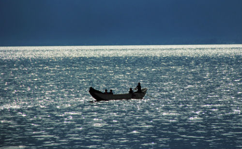 随波逐流