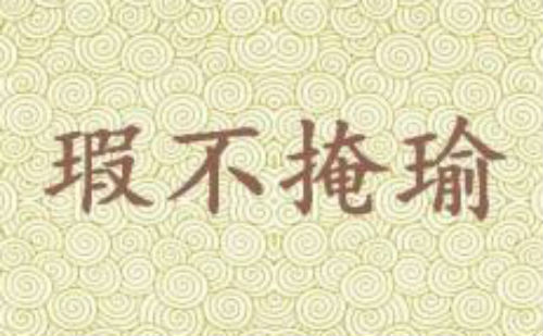 瑕不掩瑜