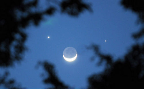 星月交辉