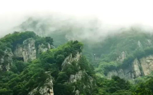 丰草长林翡翠山