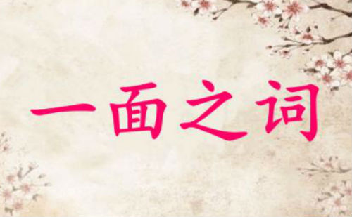 一面之词