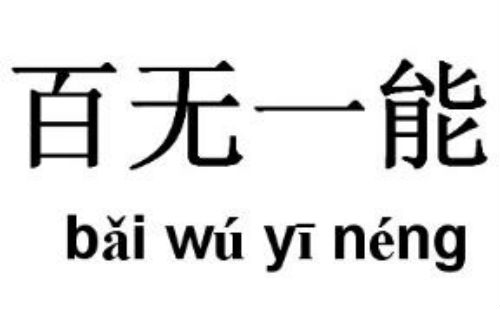 百无一能