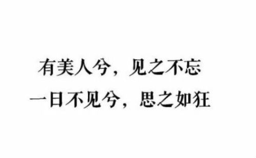 有美人兮，见之不忘，一日不见兮，思之如狂