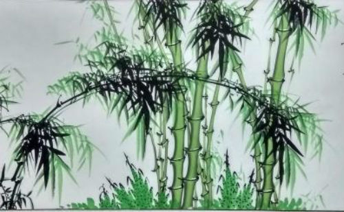 高风亮节的竹子