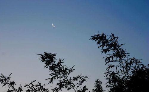 晓风残月