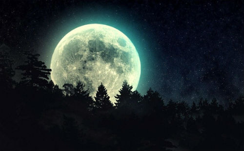 宁静的月夜