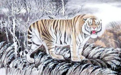 老虎画作