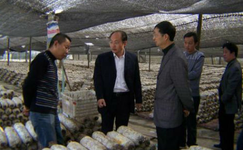 县领导为当地经济发展寻找门路