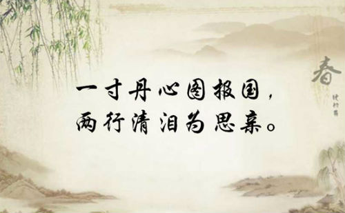 一寸丹心图报国，两行清泪为思亲