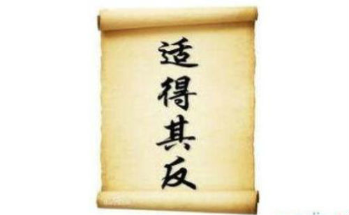 适得其反