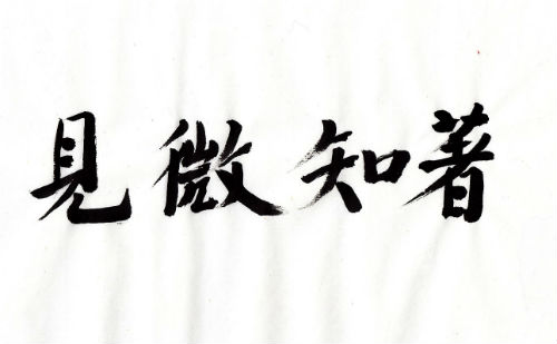 见微知著