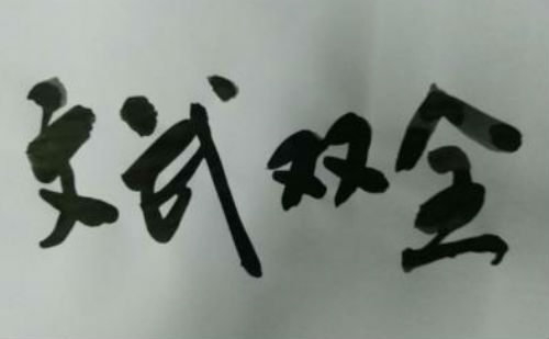 文武双全
