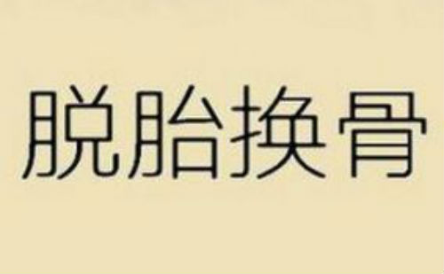 脱胎换骨