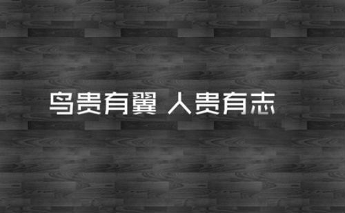 鸟贵有翼,人贵有志