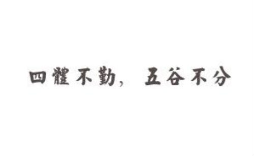 四体不勤五谷不分