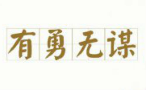 有勇无谋