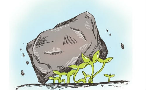 生命的力量