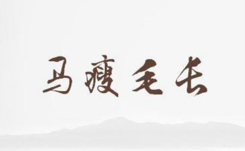 马瘦毛长