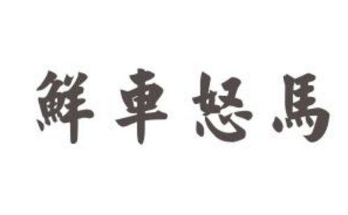 鲜车怒马