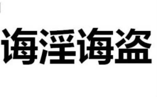 诲淫诲盗
