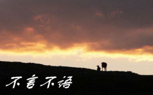 不言不语