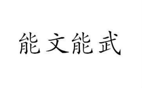 能文能武