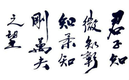 君子知微知彰知柔知刚