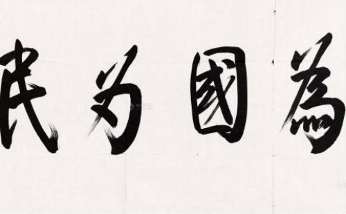 为国为民