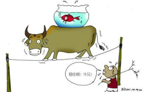 进退两难的牛